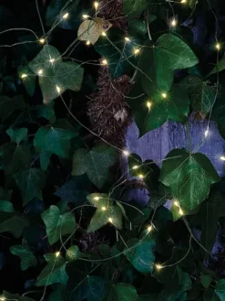 LED-Lichterstränge Knirke