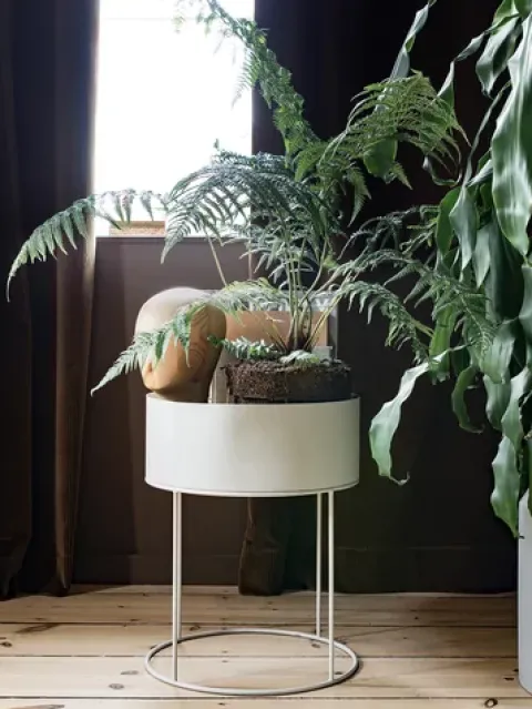 Pflanzgefäß Plant Box