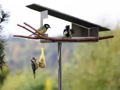 Vogelfutterhaus Vogelimbiss
