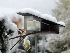 Vogelfutterhaus Vogelimbiss