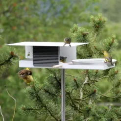 Vogelhaus mit Vogeltränke Vogelimbiss